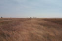 #3: Looking east along the Canada/USA border.