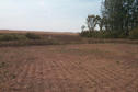 #4: Looking south at the confluence in the center of the picture.  That's North Dakota in the background.