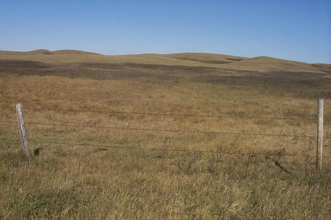 The view north from the confluence looking into Saskatchewan.