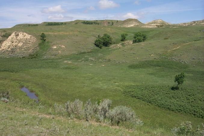 The view NW from the confluence.