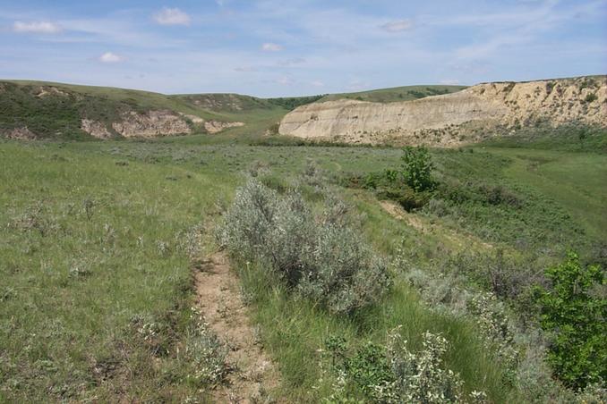 The view looking west from near the confluence.