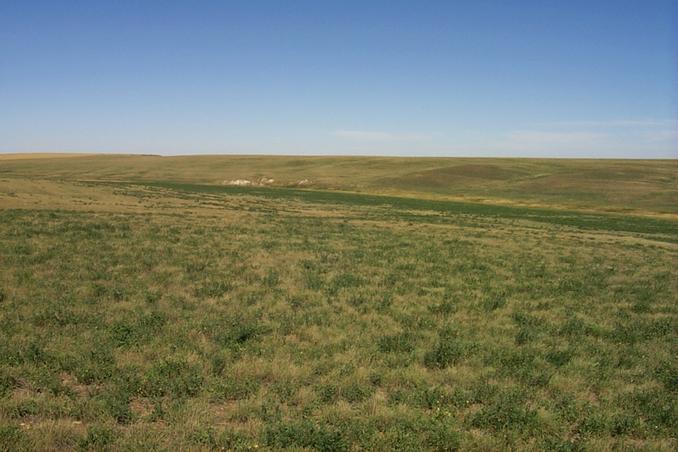 Looking north into Saskatchewan