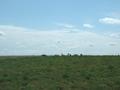 #2: Looking South from the confluence (farm on U.S. side of border).