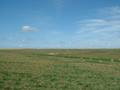 #4: Looking North from the confluence.