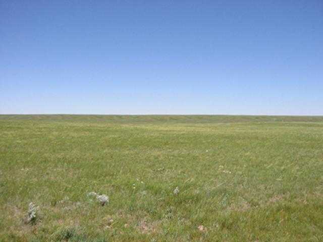 Looking North into Saskatchewan.