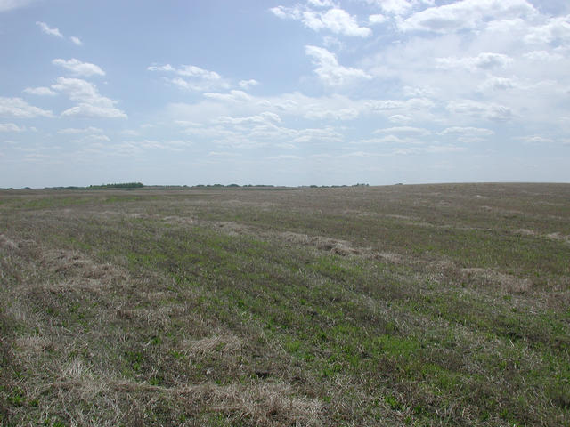 Looking South from the confluence