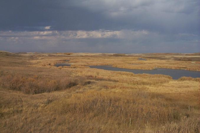 Moose Mountain Lake Valley.