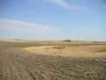 #3: Looking east from the confluence.