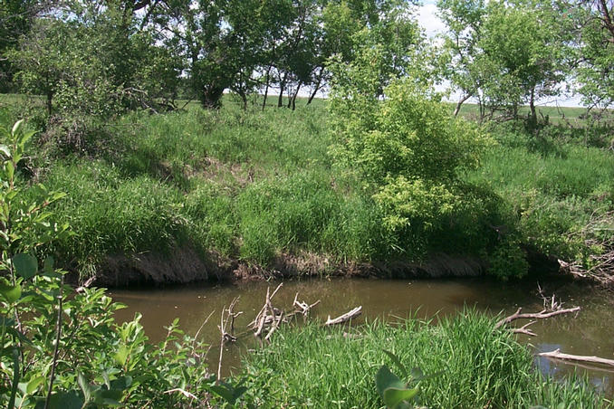 Looking North from the confluence