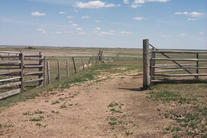 Looking east from the corral near the confluence.