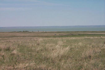 #1: Looking north.  View of Old Wives Lake and distant hills