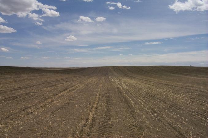 Looking south from the confluence.