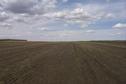 #2: View north from the confluence point.