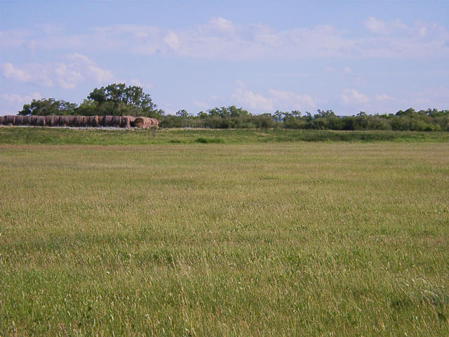 looking South from the CP