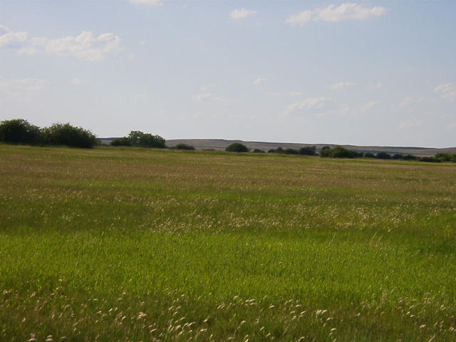 Looking West from the CP