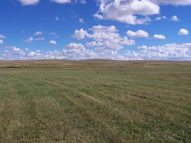 The view East from the confluence.