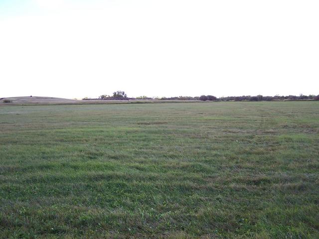 Looking South from the confluence.