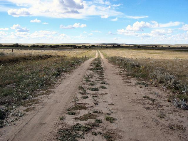 The trail to the confluence heading West.