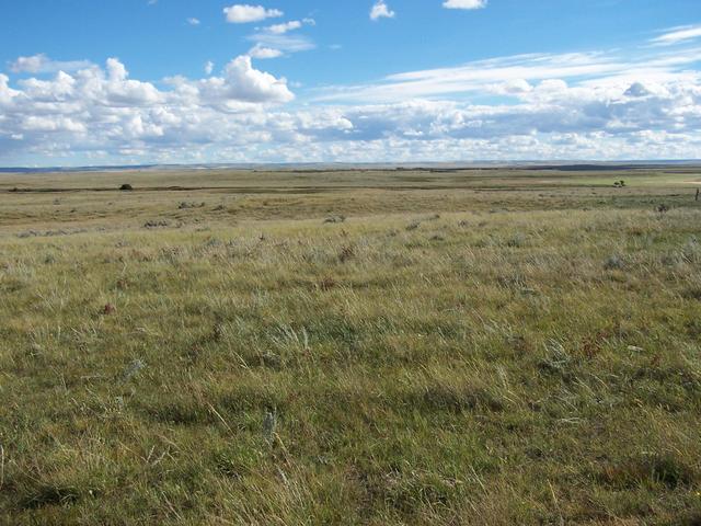 Overview of the confluence taken from the Trans Canada Highway 3.8 km to the North.