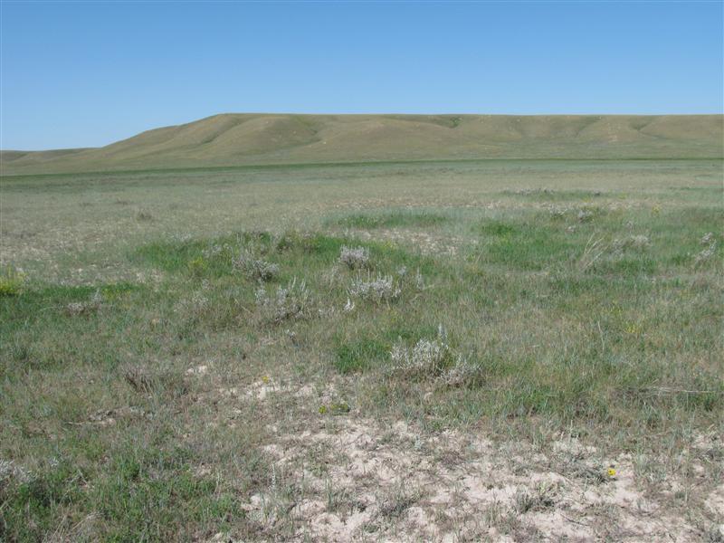 Looking North from the confluence