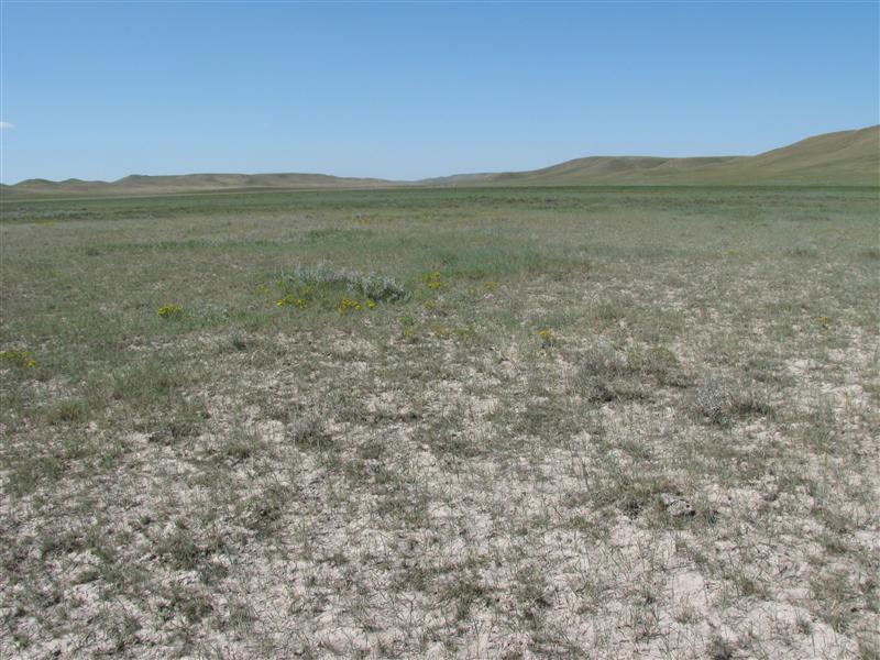 Overview of the confluence area