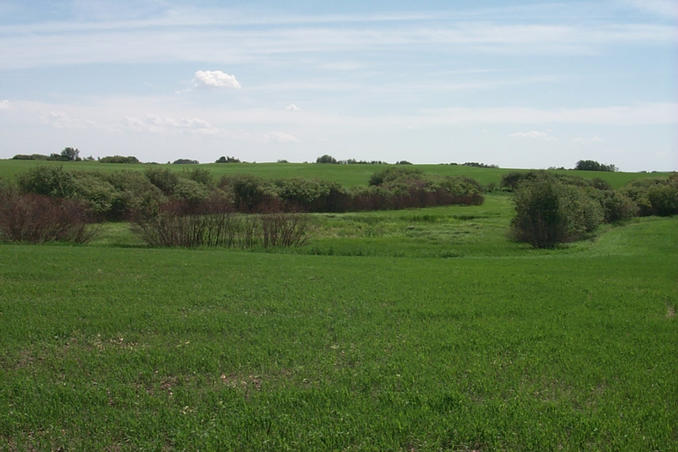 Looking south.  A marshy area can be seen.