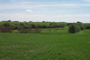 #2: Looking south.  A marshy area can be seen.