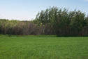 #3: Looking west. We had to detour around this marsh.