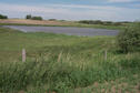 #7: The pond where we saw Canada geese and ducks.