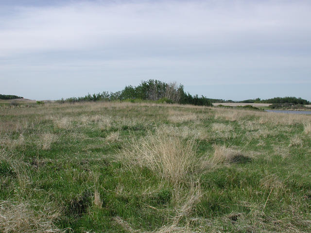 View North from the confluence