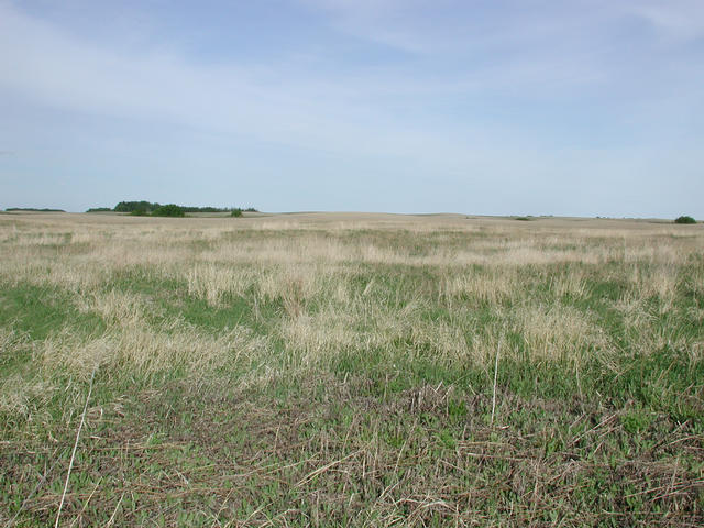 View East from the confluence