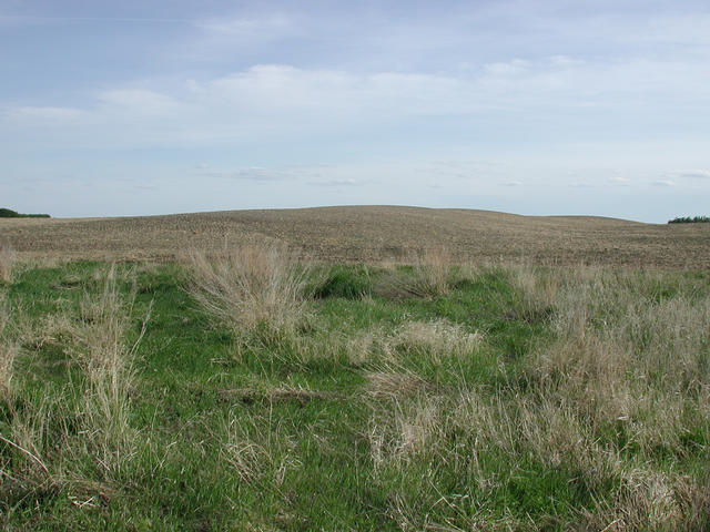 View South from the confluence