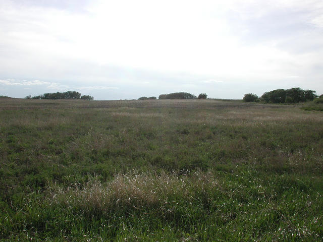 View West from the confluence