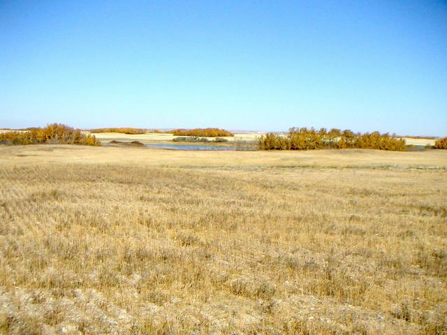 Looking NE 100 m from the confluence located in the center of the picture.