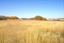 #2: Looking north from the confluence.