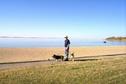 #8: Alan, Max and MacDuff at Rowan's Ravine Provincial Park on Last Mountain Lake.