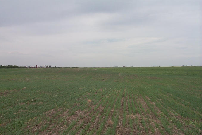 Looking north.  The landowner's farm can be seen in the distance on the left.