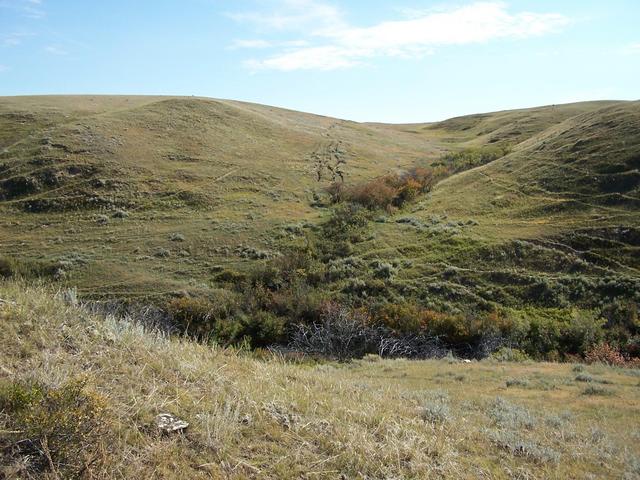 The view East from the confluence.