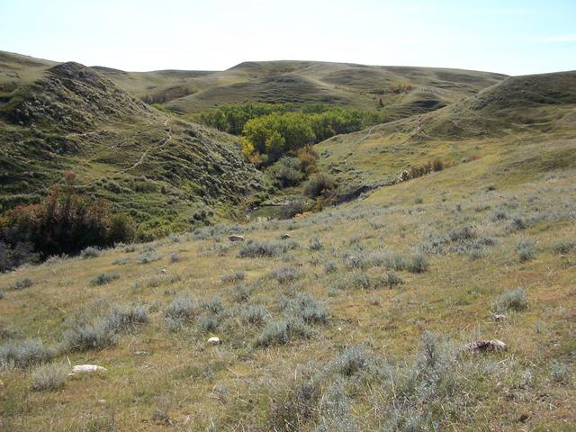 Looking Southeast from the confluence.