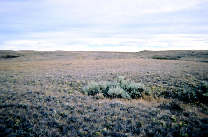 Looking north from confluence