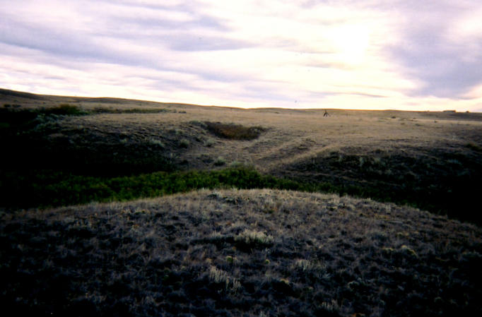 Looking east from confluence