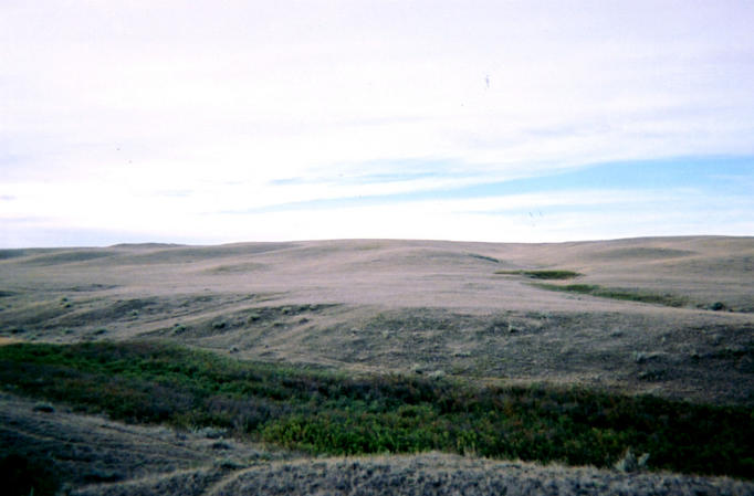 Looking south from confluence