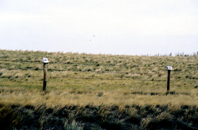 Area farmer has too many hats  (1/2 mile)  :-)