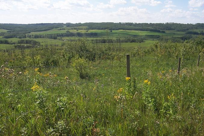 A view of the valley just west of the confluence.