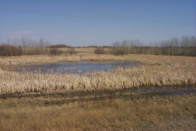 The view NE.  The CP is in the center of the photo.