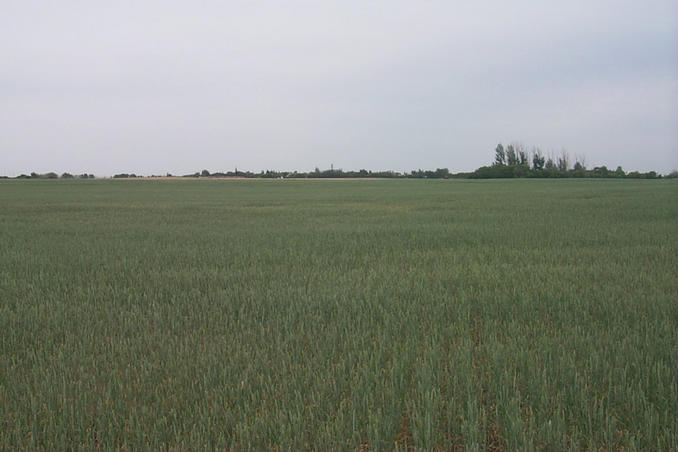 Looking east.  The town of Vanscoy can be seen in the distance.