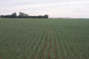 #4: Looking west. Behind the trees a farm.  Beyond that a pile of potash.