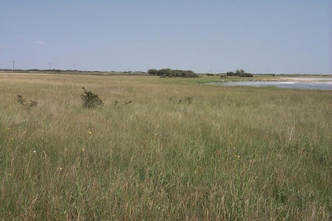 East from the confluence point.