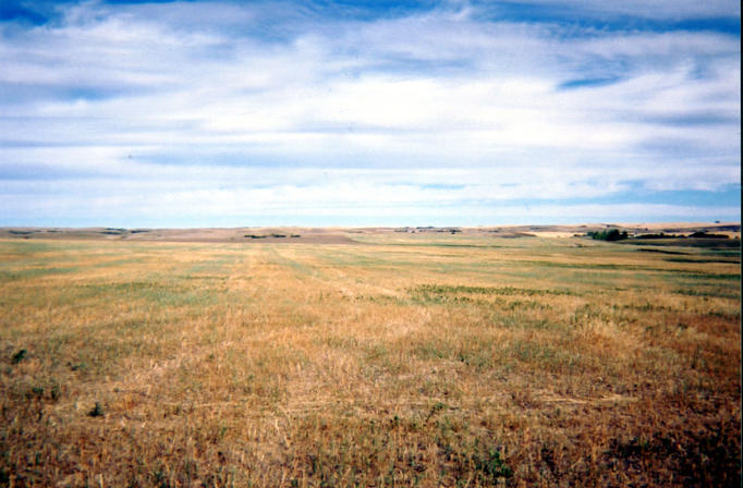 Looking north from the confluence