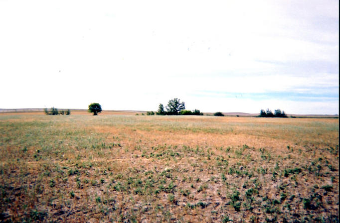 Looking south from the confluence